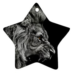 Angry Male Lion Roar Ornament (star) by Wav3s