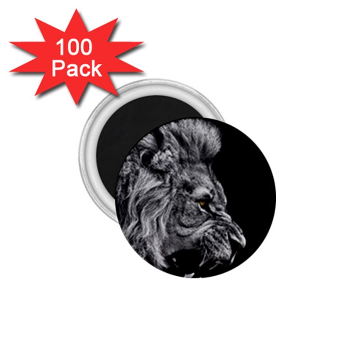 Angry Male Lion Roar 1.75  Magnets (100 pack) 