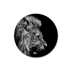 Angry Male Lion Roar Magnet 3  (round) by Wav3s