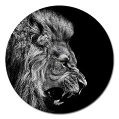 Angry Male Lion Roar Magnet 5  (round) by Wav3s