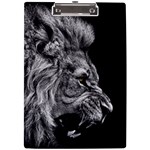 Angry Male Lion Roar A4 Acrylic Clipboard Front