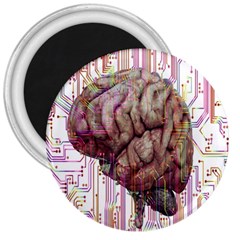 Brain Think Neurons Circuit 3  Magnets by Wav3s