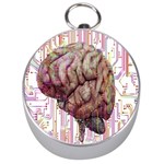 Brain Think Neurons Circuit Silver Compasses Front