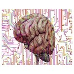 Brain Think Neurons Circuit Two Sides Premium Plush Fleece Blanket (Medium) 60 x50  Blanket Front