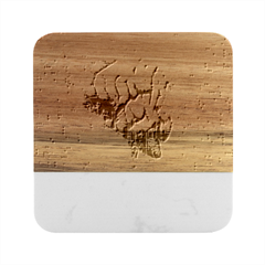 Brain Think Neurons Circuit Marble Wood Coaster (square) by Wav3s