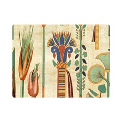 Egyptian Paper Papyrus Hieroglyphs Premium Plush Fleece Blanket (mini) by Wav3s