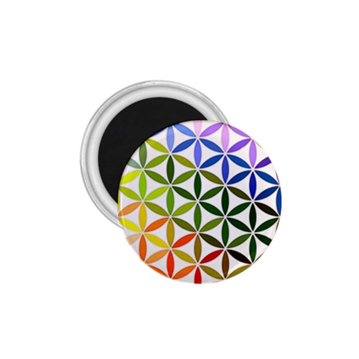 Mandala Rainbow Colorful 1.75  Magnets