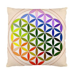 Mandala Rainbow Colorful Standard Cushion Case (one Side) by Ndabl3x