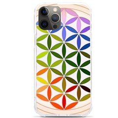 Mandala Rainbow Colorful Iphone 12 Pro Max Tpu Uv Print Case by Ndabl3x