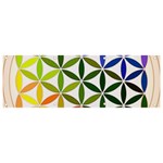 Mandala Rainbow Colorful Banner and Sign 9  x 3  Front