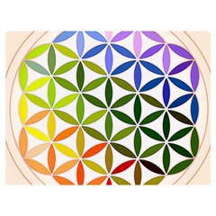 Mandala Rainbow Colorful Two Sides Premium Plush Fleece Blanket (extra Small) by Ndabl3x