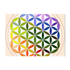 Mandala Rainbow Colorful Crystal Sticker (a4) by Ndabl3x