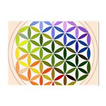 Mandala Rainbow Colorful Crystal Sticker (A4) Front