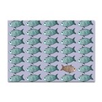 Fishes Pattern Background Theme Art Sticker A4 (10 pack) Front