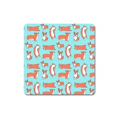 Corgis On Teal Square Magnet