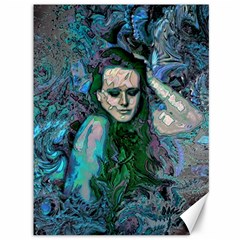 Alphonse Woman Canvas 36  X 48  by MRNStudios