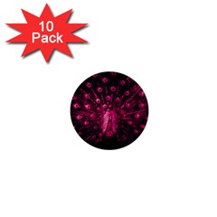 Peacock Pink Black Feather Abstract 1  Mini Buttons (10 Pack)  by Wav3s