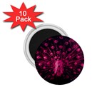 Peacock Pink Black Feather Abstract 1.75  Magnets (10 pack)  Front