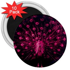 Peacock Pink Black Feather Abstract 3  Magnets (10 Pack)  by Wav3s