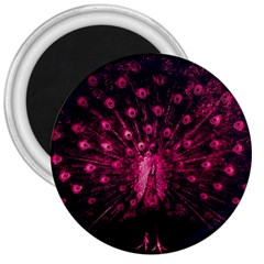 Peacock Pink Black Feather Abstract 3  Magnets by Wav3s