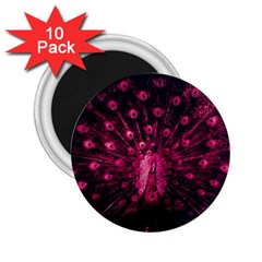 Peacock Pink Black Feather Abstract 2 25  Magnets (10 Pack)  by Wav3s