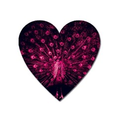 Peacock Pink Black Feather Abstract Heart Magnet by Wav3s