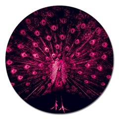 Peacock Pink Black Feather Abstract Magnet 5  (round) by Wav3s