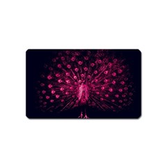 Peacock Pink Black Feather Abstract Magnet (name Card) by Wav3s