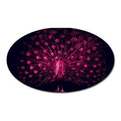 Peacock Pink Black Feather Abstract Oval Magnet by Wav3s