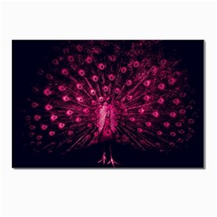 Peacock Pink Black Feather Abstract Postcard 4 x 6  (pkg Of 10) by Wav3s