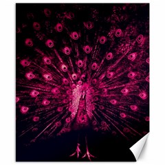 Peacock Pink Black Feather Abstract Canvas 8  X 10  by Wav3s