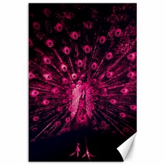 Peacock Pink Black Feather Abstract Canvas 12  X 18  by Wav3s