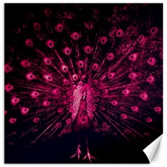 Peacock Pink Black Feather Abstract Canvas 20  X 20  by Wav3s