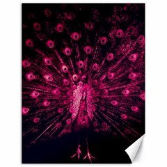 Peacock Pink Black Feather Abstract Canvas 18  X 24  by Wav3s