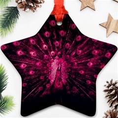 Peacock Pink Black Feather Abstract Star Ornament (two Sides) by Wav3s