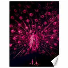 Peacock Pink Black Feather Abstract Canvas 36  X 48  by Wav3s