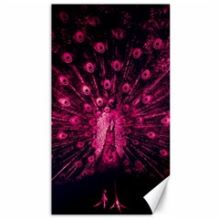 Peacock Pink Black Feather Abstract Canvas 40  X 72  by Wav3s