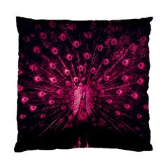 Peacock Pink Black Feather Abstract Standard Cushion Case (one Side) by Wav3s