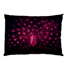 Peacock Pink Black Feather Abstract Pillow Case (two Sides) by Wav3s