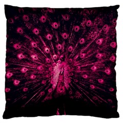 Peacock Pink Black Feather Abstract Large Cushion Case (two Sides) by Wav3s