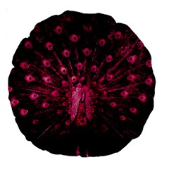 Peacock Pink Black Feather Abstract Large 18  Premium Round Cushions by Wav3s