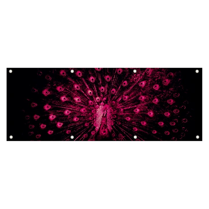 Peacock Pink Black Feather Abstract Banner and Sign 8  x 3 