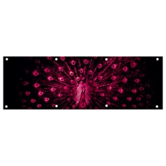 Peacock Pink Black Feather Abstract Banner And Sign 9  X 3  by Wav3s