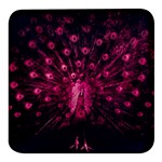 Peacock Pink Black Feather Abstract Square Glass Fridge Magnet (4 pack) Front