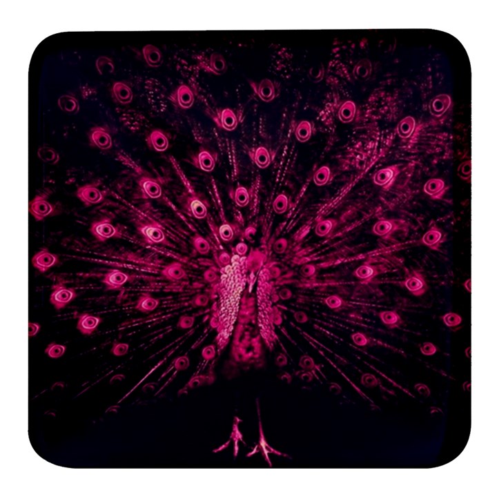 Peacock Pink Black Feather Abstract Square Glass Fridge Magnet (4 pack)