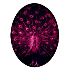 Peacock Pink Black Feather Abstract Oval Glass Fridge Magnet (4 Pack) by Wav3s