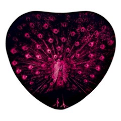 Peacock Pink Black Feather Abstract Heart Glass Fridge Magnet (4 Pack) by Wav3s