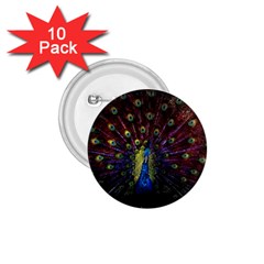 Peacock Feathers 1 75  Buttons (10 Pack) by Wav3s