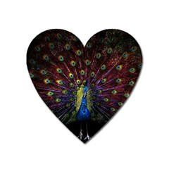 Peacock Feathers Heart Magnet by Wav3s