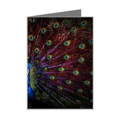 Peacock Feathers Mini Greeting Card by Wav3s